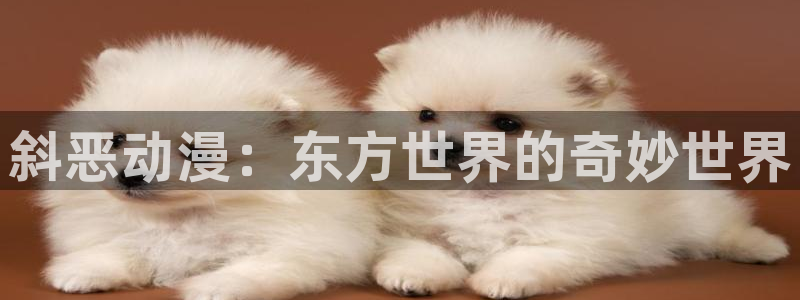 omofun网页版入口处