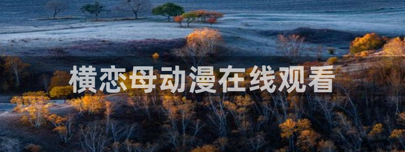 进入omofun官网