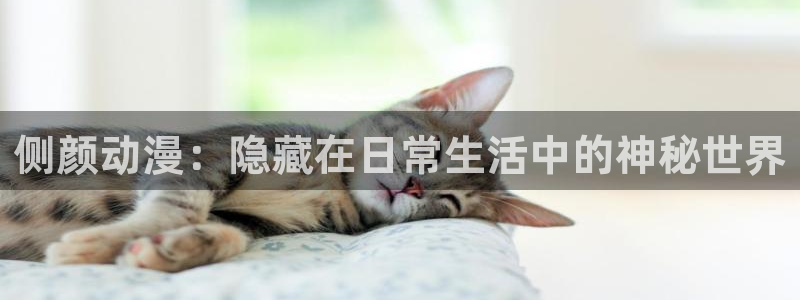 omofun有ios版吗