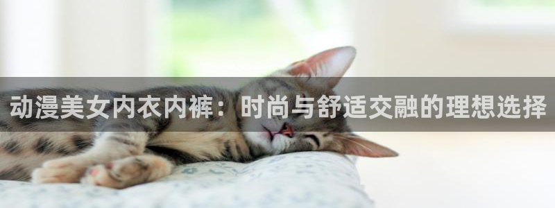 omofun下载安装：动漫美女内衣内裤：时尚与舒适交融的理想选择