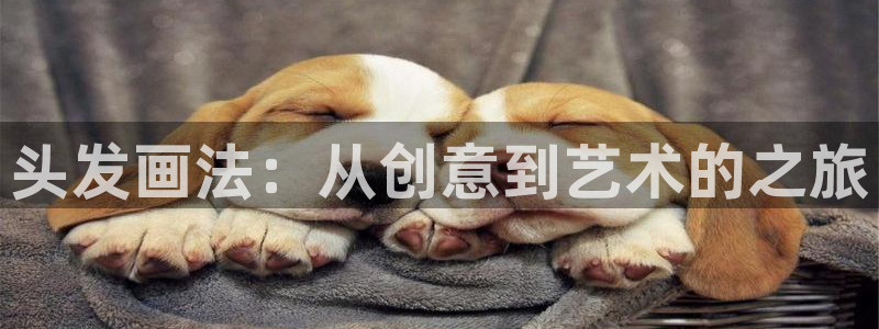 omofun官方下载入口：头发画法：从创意到艺术的之旅