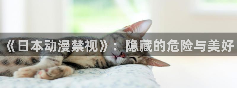 omofun官网下载链接：《日本动漫禁视》：隐藏的危险与美好