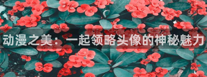 omofun动漫免费观看：动漫之美：一起领略头像的神秘魅力