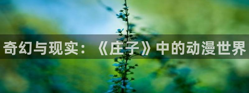 omofun官方正版：奇幻与现实：《庄子》中的动漫世界