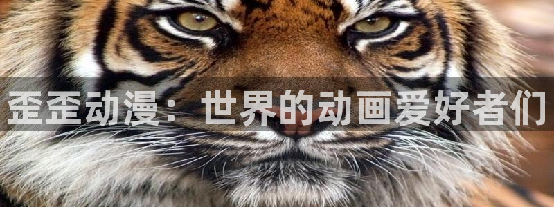 omofun.top：歪歪动漫：世界的动画爱好者们