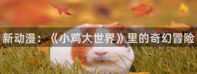 omofun电脑网页版：新动漫：《小鸡大世界》里的奇幻冒险