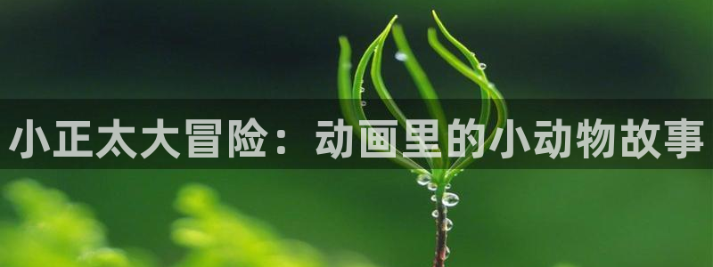动漫共和国omofun下载：小正太大冒险：动画里的小动物故事