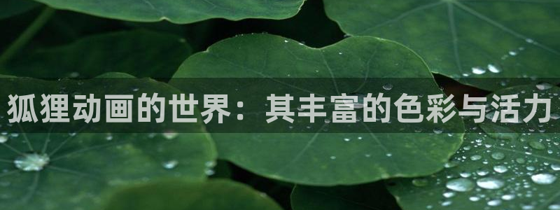omofun. link：狐狸动画的世界：其丰富的色彩与活力