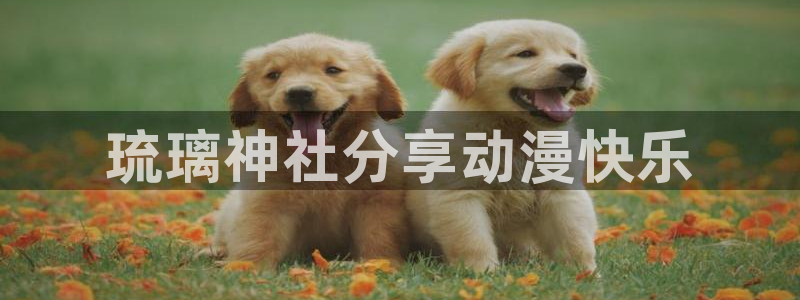 omofun动漫官方版下载：琉璃神社分享动漫快乐