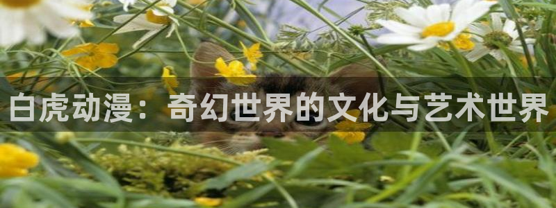 新版omofun下载：白虎动漫：奇幻世界的文化与艺术世界