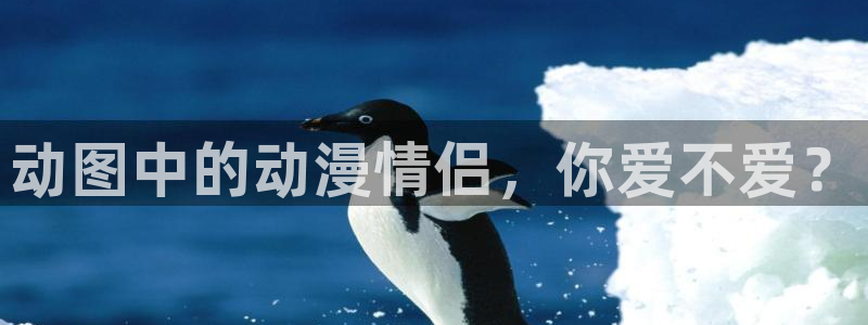 omofun有病毒吗：动图中的动漫情侣，你爱不爱？