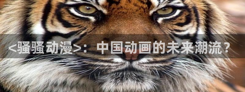 omofun 翻译