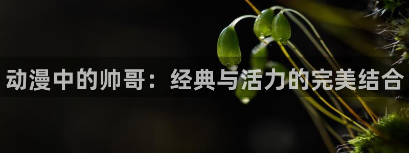 omofun官方版网页：动漫中的帅哥：经典与活力的完美结合