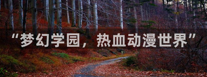 omofun网页版入口