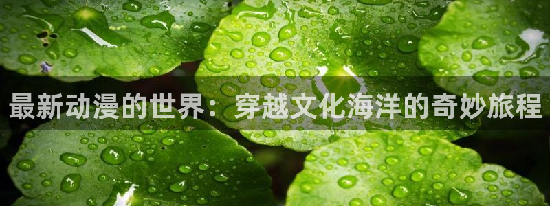 下载omofun动漫：最新动漫的世界：穿越文化海洋的奇妙旅程