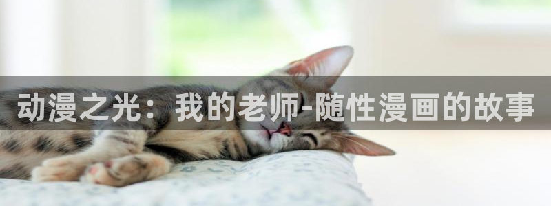 omofun正版官方链接：动漫之光：我的老师-随性漫画的故事
