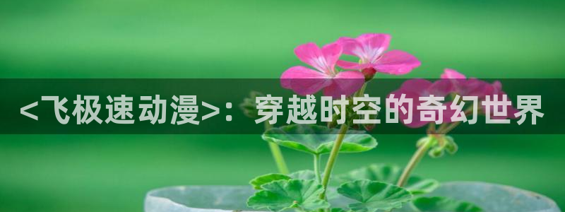 omofun无广告：<飞极速动漫>：穿越时空的奇幻世界